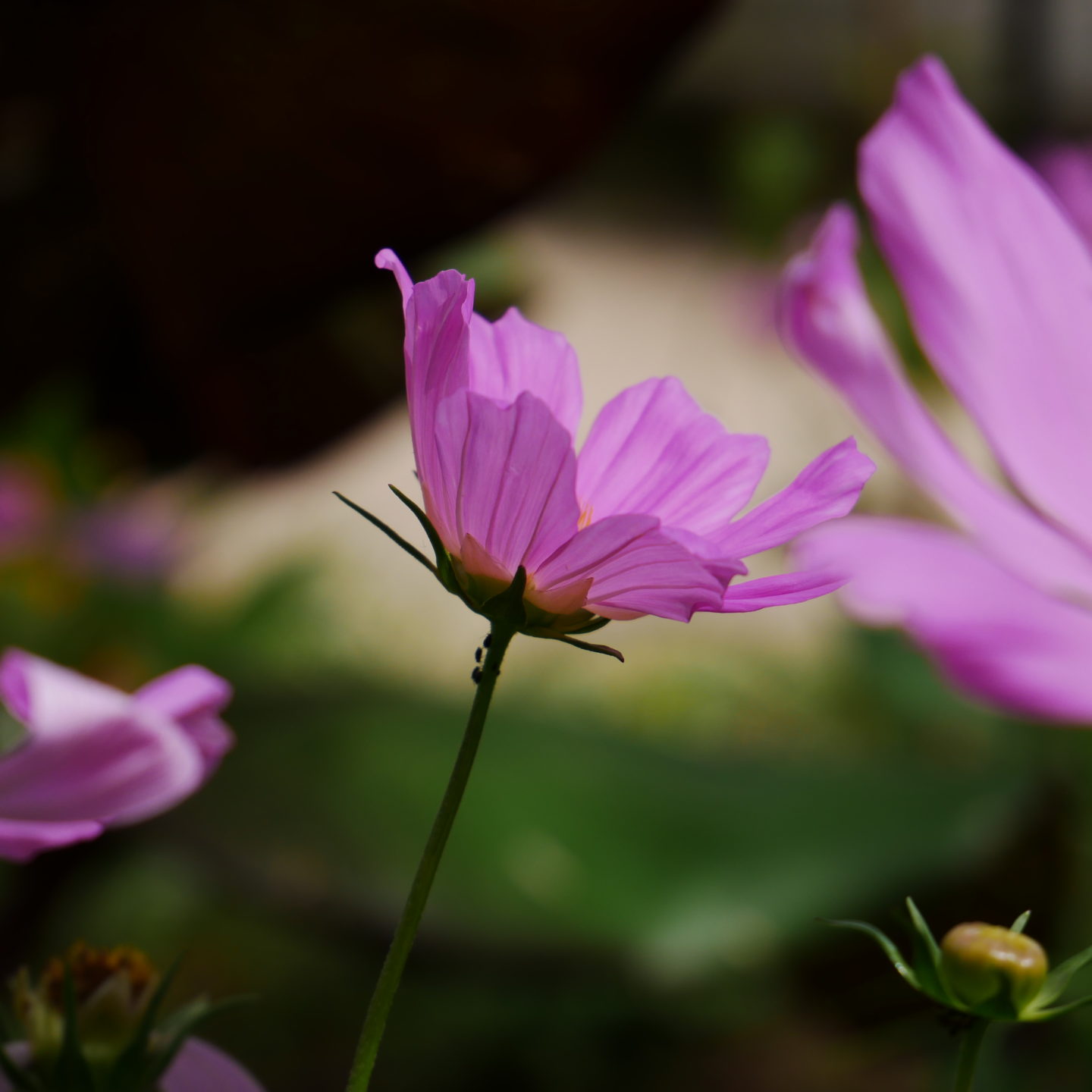 Photographie : ma première petite galerie